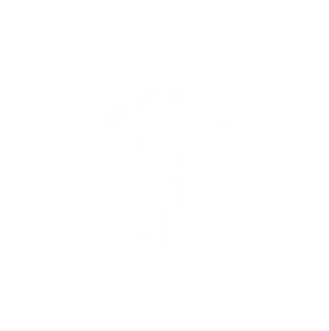 ASSISTENZA DOMICILIARE SANITARIA